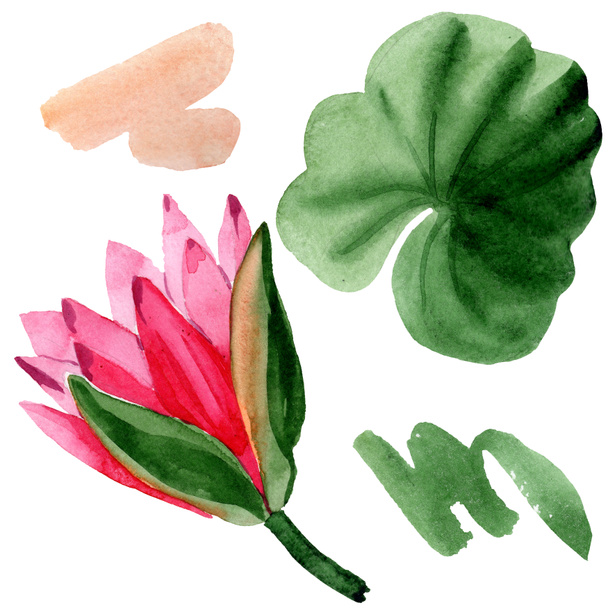 Piros lótuszvirág elszigetelt fehér zöld levél. Virágos botanikai virág. Akvarell háttér illusztráció. - Fotó, kép