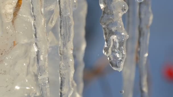 Pırıl pırıl ve bahar Güneşte parıldayan eriyen buz sarkıtları çok sayıda - Video, Çekim
