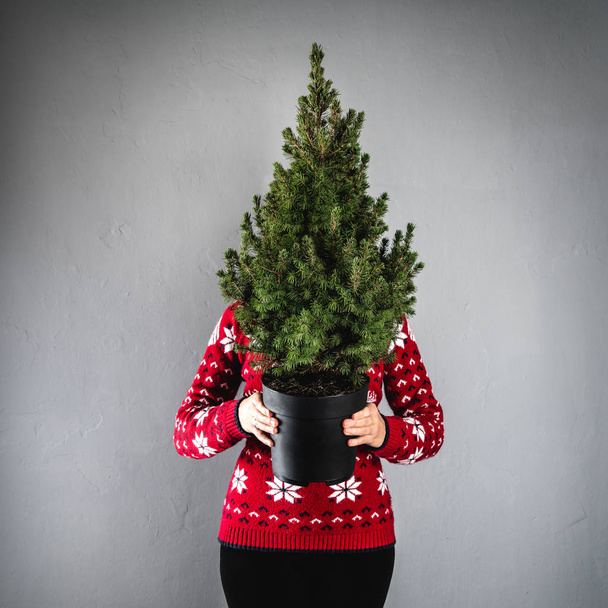 Woman in red Christmas sweater holding a decorative Christmas tree in pot on grey background. Xmas and New Year theme - Photo, image