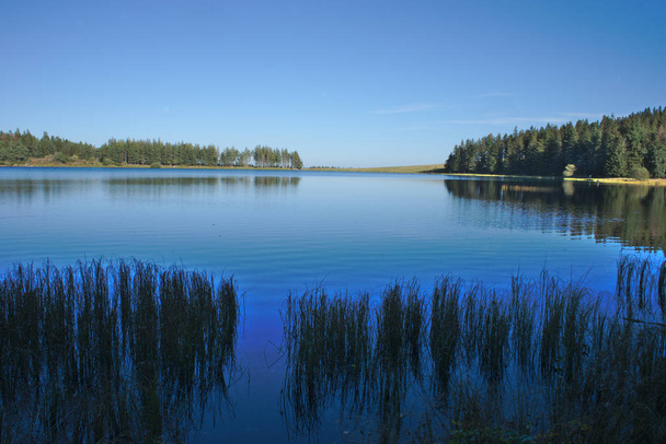 blue sky reflecting in the lake servieres in auvergne with a foreground of aquatic plants - Photo, Image