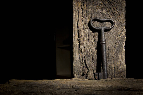 Vintage key hanging on an old log - Zdjęcie, obraz