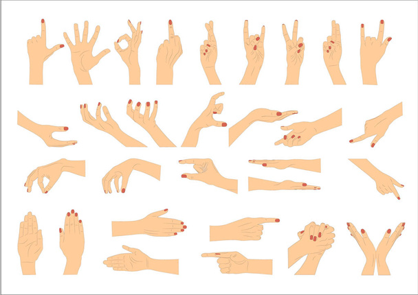 Hand gestures. Vector illustration. - Vector, Image