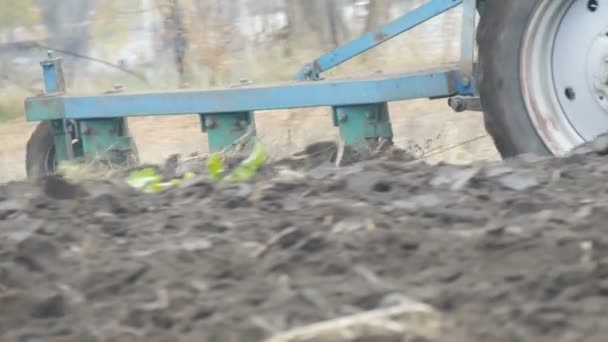 Синий трактор вспахивает темную почву глубокой осенью. Зимняя подготовка почвы
 - Кадры, видео