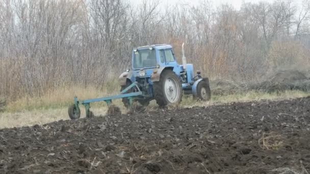 Ein blauer Traktor pflügt im tiefen Herbst schwarze Erde um. Wintervorbereitung - Filmmaterial, Video