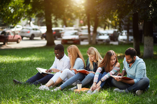 Mixed-race group of students sitting together on green lawn of university campus - Photo, Image