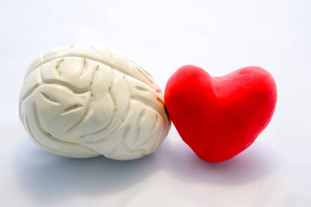 Red card heart shape and figure of human brain standing next to next to each other on white background. Connection heart and brain in couple or choice for who to follow, or their interaction in body - Foto, afbeelding