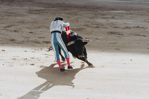 Une corrida espagnole. Le taureau furieux attaque le torero
 - Photo, image