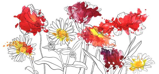 vector drawing poppy flowers - Vector, Image