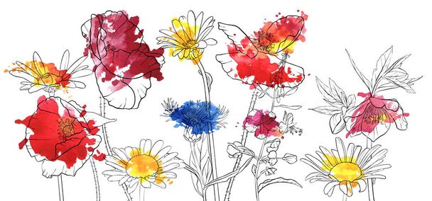 vector drawing poppy flowers - Wektor, obraz