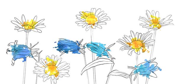 vektoros rajz pipacs virágok - Vektor, kép