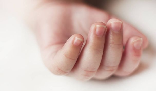 hands sleeping newborn baby close up isolated on white background - Фото, изображение