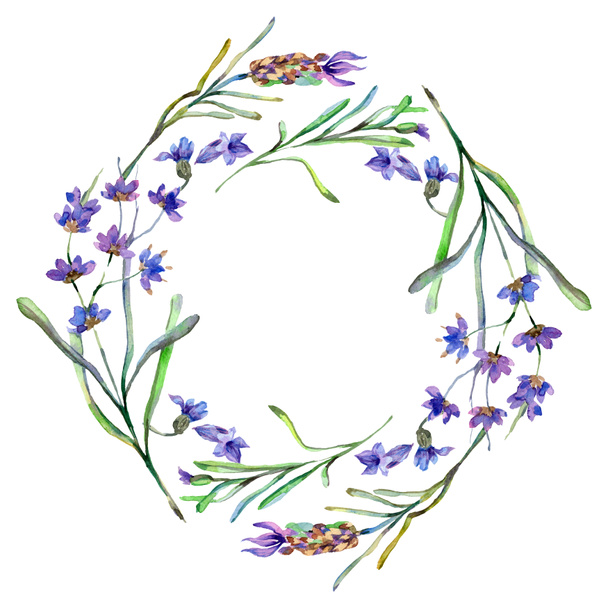 Flores de lavanda púrpura. Flores silvestres de primavera. Ilustración de fondo acuarela. Corona marco frontera
. - Foto, Imagen