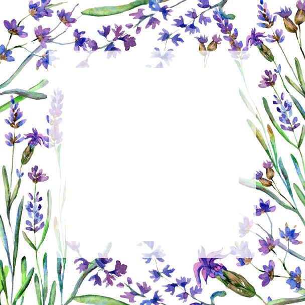 Purple lavender flowers. Wild spring flowers. Watercolor background illustration. Frame border square. - Photo, Image