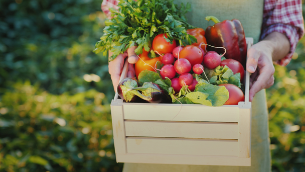 Ein Bauer hält eine Schachtel Radieschen und anderes Gemüse der Saison in der Hand. - Filmmaterial, Video