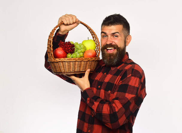 Farmer with excited face presents apples, grapes and cranberries. - Photo, image