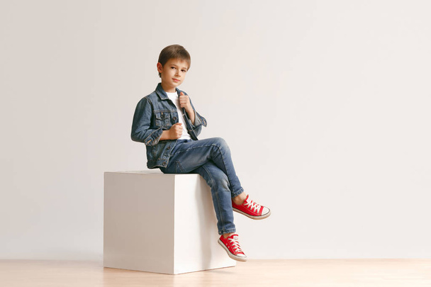 The portrait of cute little boy in stylish jeans clothes looking at camera at studio - 写真・画像