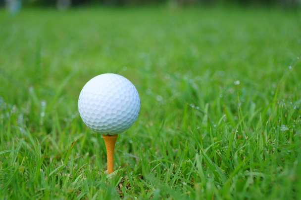 Boule de golf et tee sur fond de terrain de golf vert, espace de copie
 - Photo, image