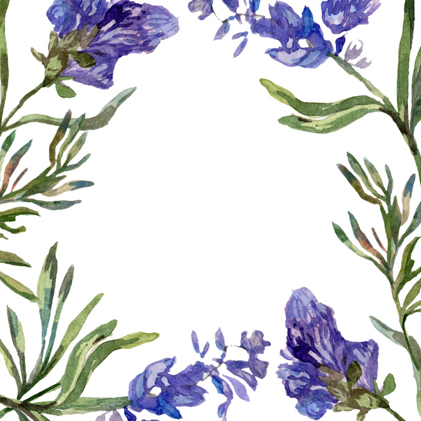 紫のラベンダーの花。野生の春の花。水彩画背景イラスト。フレーム境界線広場. - 写真・画像