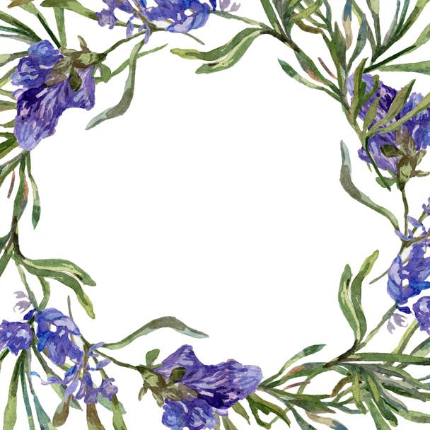 Purple lavender flowers. Spring wildflowers. Watercolor background illustration. Wreath frame border. - Zdjęcie, obraz