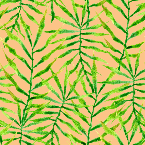 Tropical seamless pattern. Watercolor thorny palm  - Фото, изображение