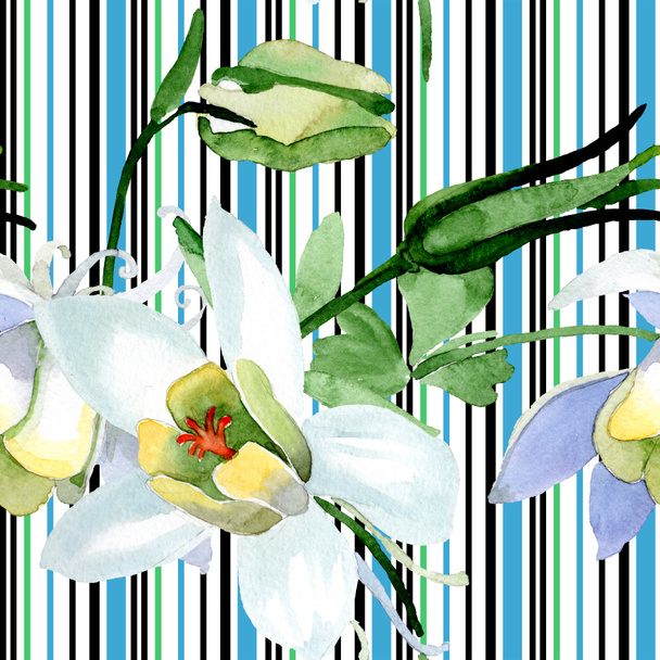 White aquilegia flowers. Beautiful spring wildflowers. Seamless background pattern. Fabric wallpaper print texture. Watercolor background illustration. - Фото, зображення