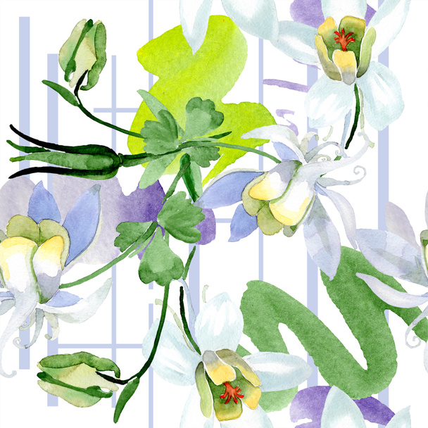 オダマキの花は白い 美しい春の野草 シームレスな背景パターン 壁紙印刷手触りの生地 水彩画背景イラスト ロイヤリティフリー写真 画像素材