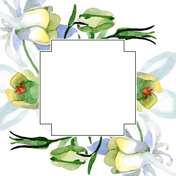 White aquilegia flowers. Frame border ornament square. Watercolor background illustration. Beautiful aquilegia flowers drawing in aquarelle style. - Photo, image