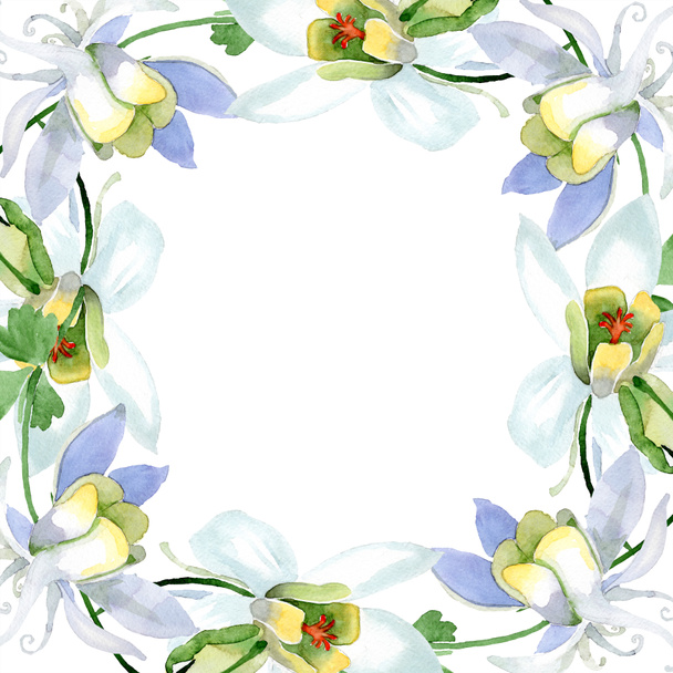 White aquilegia flowers. Frame border ornament wreath. Watercolor background illustration. Beautiful aquilegia flowers drawing in aquarelle style. - Photo, Image