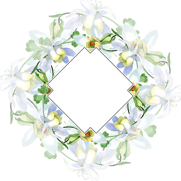 オダマキの花は白い。フレーム枠飾りスクエア。水彩画背景イラスト。アクワレル スタイルで描く美しいオダマキの花. - 写真・画像