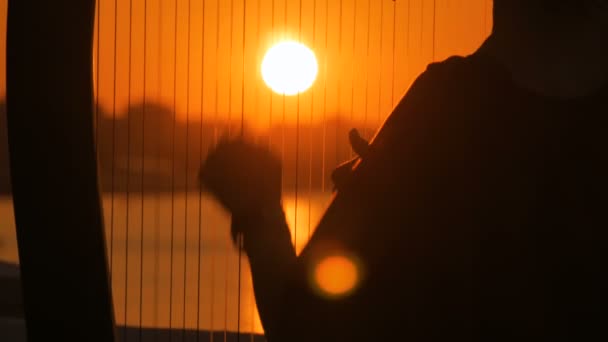 Sylwetka kobiety gra harfa o zachodzie słońca - Materiał filmowy, wideo