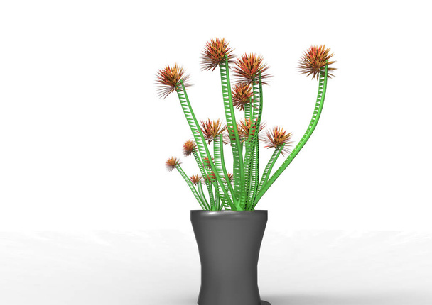 légykapó növény 3d elkülönítése háttér - Fotó, kép