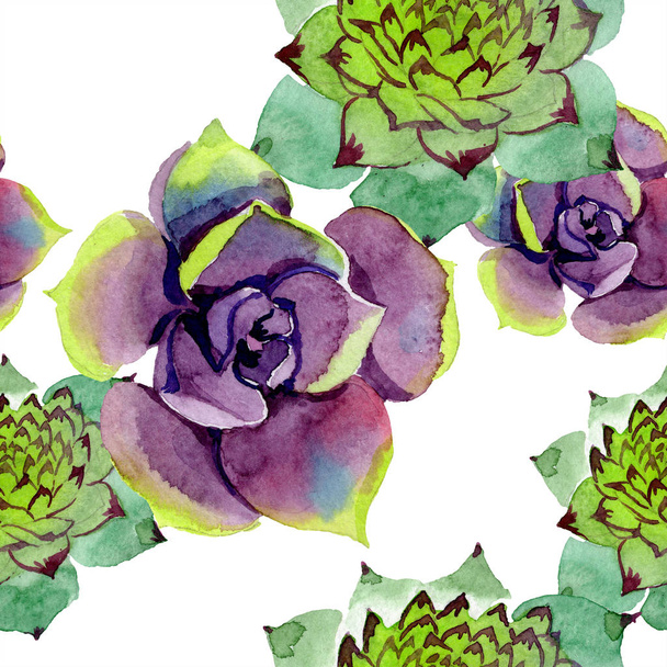 Amazing succulents. Watercolor background illustration. Seamless background pattern. Fabric wallpaper print texture. - Foto, imagen