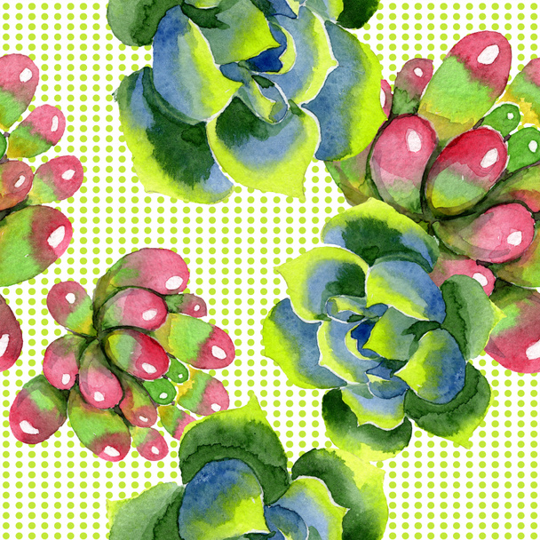 Amazing succulents. Watercolor background illustration. Seamless background pattern. Fabric wallpaper print texture. - Photo, Image