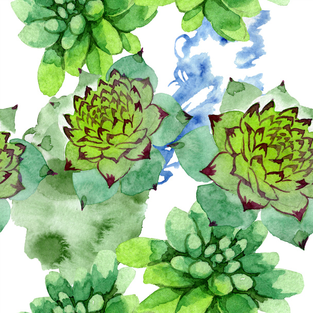 Amazing succulents. Watercolor background illustration. Seamless background pattern. Fabric wallpaper print texture. - Foto, Imagem