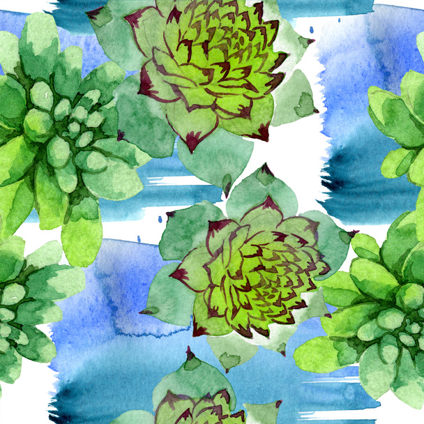 Csodálatos succulents. Akvarell háttér illusztráció. Varratmentes háttérben minta. Anyagot a nyomtatási textúrát. - Fotó, kép