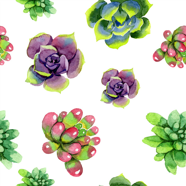 Amazing succulents. Watercolor background illustration. Seamless background pattern. Fabric wallpaper print texture. - 写真・画像