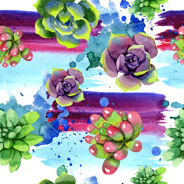 Amazing succulents. Watercolor background illustration. Seamless background pattern. Fabric wallpaper print texture. - Foto, immagini