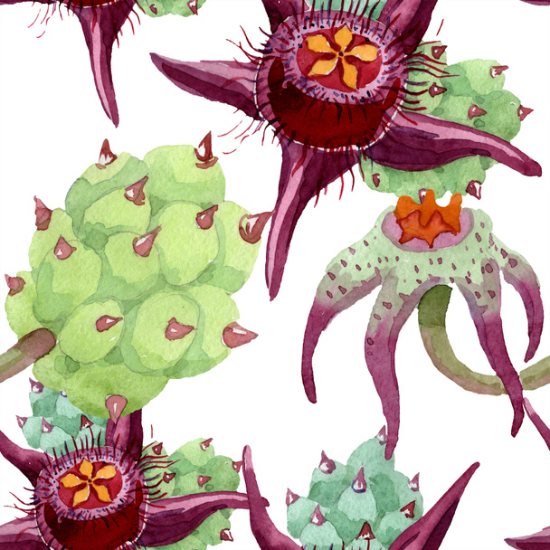Duvalia flowers. Watercolor background illustration. Aquarelle hand drawn succulent plants. Seamless background pattern. Fabric wallpaper print texture. - 写真・画像