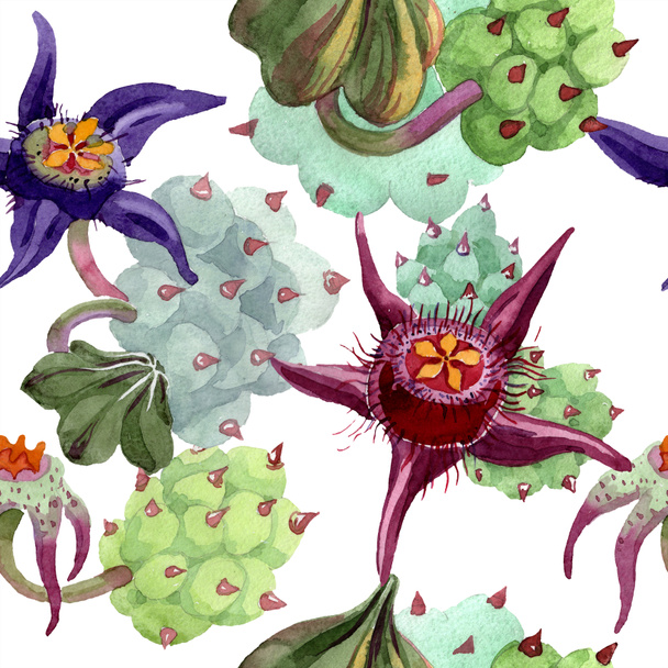 Duvalia flowers. Watercolor background illustration. Aquarelle hand drawn succulent plants. Seamless background pattern. Fabric wallpaper print texture. - Foto, Imagem