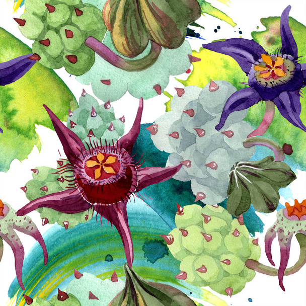 Duvalia flowers. Watercolor background illustration. Aquarelle hand drawn succulent plants. Seamless background pattern. Fabric wallpaper print texture. - Фото, зображення