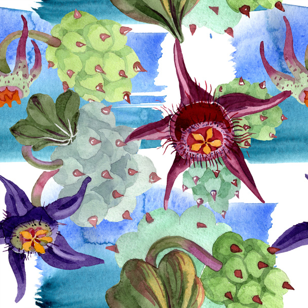 Duvalia flowers. Watercolor background illustration. Aquarelle hand drawn succulent plants. Seamless background pattern. Fabric wallpaper print texture. - Foto, afbeelding