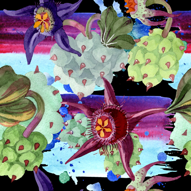 Duvalia virágok. Akvarell háttér illusztráció. Aquarelle kézzel rajzolt szukkulens növények. Varratmentes háttérben minta. Anyagot a nyomtatási textúrát. - Fotó, kép