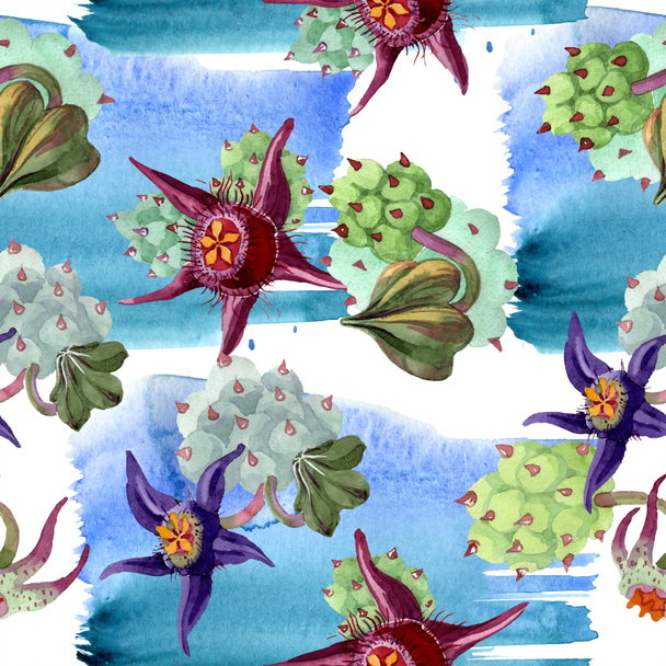 Duvalia flowers. Watercolor background illustration. Aquarelle hand drawn succulent plants. Seamless background pattern. Fabric wallpaper print texture. - Photo, Image