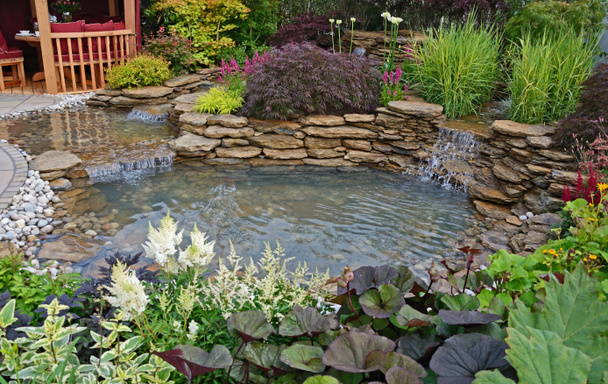 El área del estanque en el jardín acuático Reflections con rocalla plantada y cascadas
 - Foto, Imagen