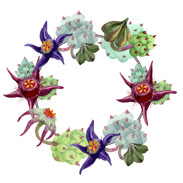 Duvalia bloemen. Aquarel achtergrond illustratie. Frame grens sieraad krans. Aquarelle hand tekenen van succulente planten. - Foto, afbeelding