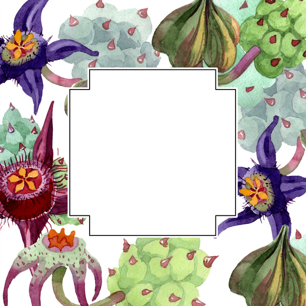 Duvalia virágok. Akvarell háttér illusztráció. Geometriai keret tér. Az Aquarelle kézi rajz zamatos. - Fotó, kép