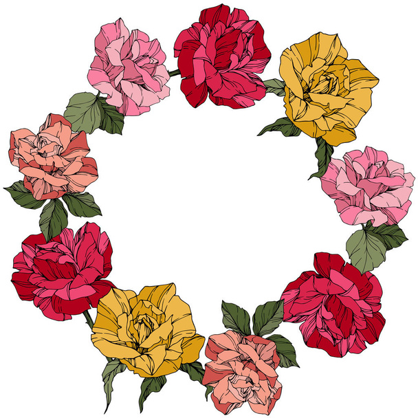 Vector Roses. Floral botanical flowers. Wild spring leaves. Red, pink and yellow engraved ink art. Frame border ornament wreath. - Vektor, obrázek
