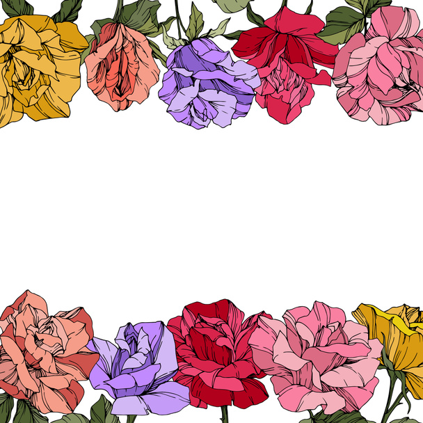 Vector Roses. Floral botanical flowers. Red, pink and purple engraved ink art. Floral border illustration. - Vector, Image