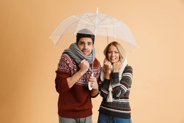 Portrait of a frozen young couple dressed in sweaters and scarves standing together isolated over beige background, standing under umbrella - 写真・画像