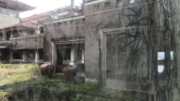 Interior of abandoned damaged and destroyed hotel on Bali island. - Felvétel, videó